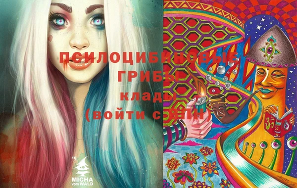 бутират Баксан