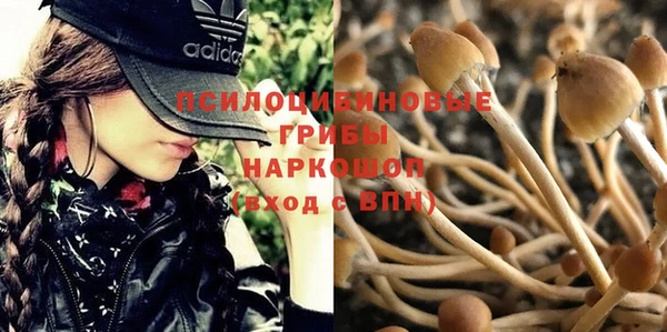 бутират Баксан