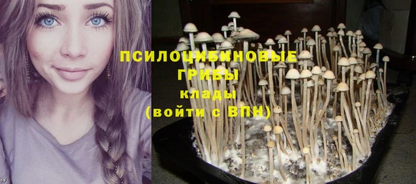 спиды Арсеньев
